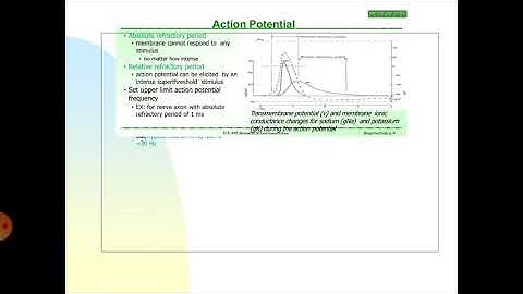 OMD551 BASICS OF BIOMEDICAL INSTRUMENTATION UNIT-1 BIO POTENTIAL GENERATION-PART-2