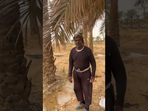 كومار قلب كويس مطر ميه ميه يجي