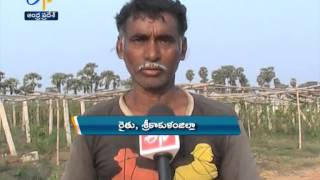 Green house cultivation of Capsicum given good yields in Srikakulam  - జైకిసాన్ - 2nd March 2015