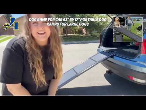 Featured image for the guide to Top 10 Best Amazon Accessories Every Dog Owner Needs for the Car! 🐶🚗 by Road Universe