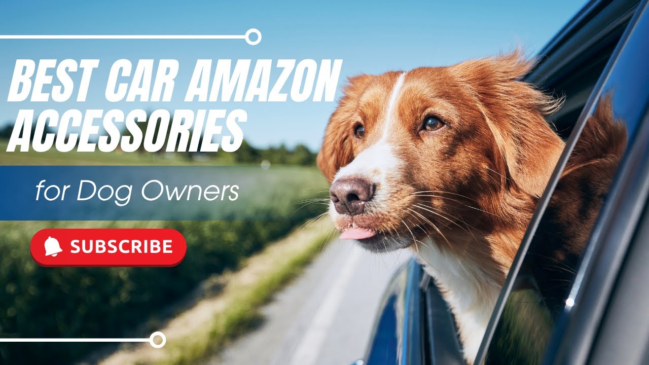 Top 10 Best Amazon Accessories Every Dog Owner Needs for the Car! 🐶🚗