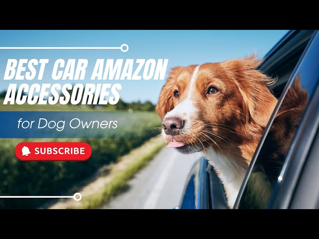 Top 10 Best Amazon Accessories Every Dog Owner Needs for the Car! 🐶🚗 — Road Universe (video thumbnail)