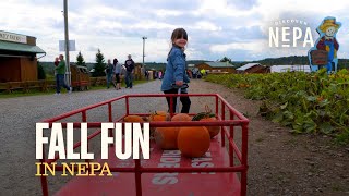 Fall Fun in NEPA | Northeastern Pennsylvania
