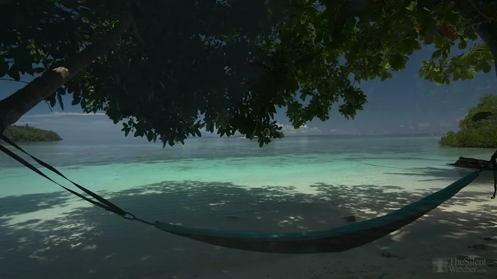 4K HDR Tropical Beach   Gentle Ocean Wave Sounds   Peaceful Wild Island   Relaxing Nature Video