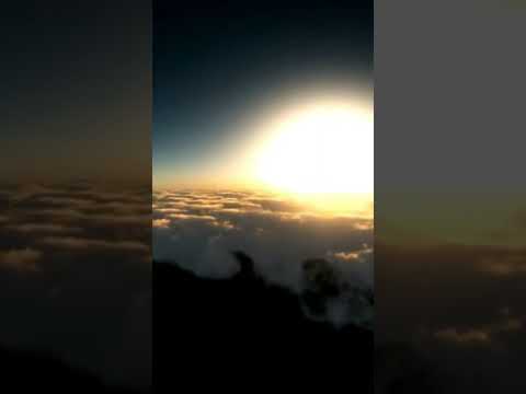 ما معنى كلمة طائر في اللغة العربية