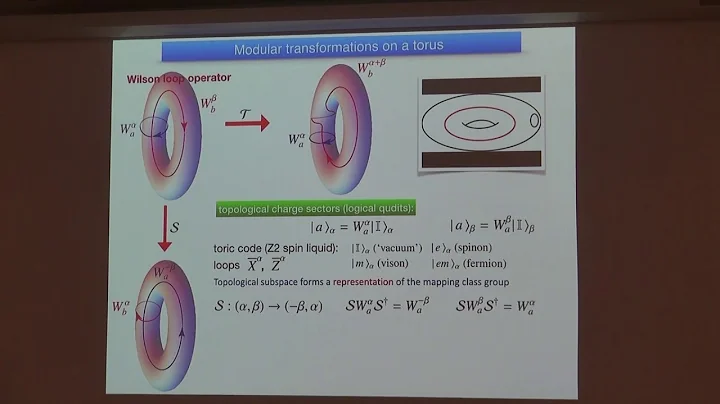 JQI Seminar 1/29/2018 - Guanyu Zhu and Hilary Hurst
