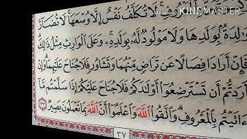 قراءة كل يوم صفحة من القرآن الكريم الجزء الثاني سورة البقرة صـ37 QURAN KARIM SURAT ALBAKARA PAGE 37