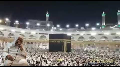 الشيخ وليد إبراهيم سورة الفجر