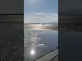 熊本御輿来海岸 - Kumamoto Okoshiki Coast - #熊本 #宇土市 #御輿来海岸