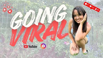 How to Go VIRAL on Instagram or YouTube Shorts in 2025 | Homemaed Homestead
