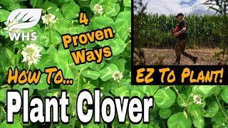 Download Lagu Best Way to Plant Clover MP3