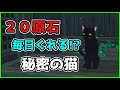 【原神】稲妻2.1で毎日やっておくべき事「２選」【げんしん/攻略解説】