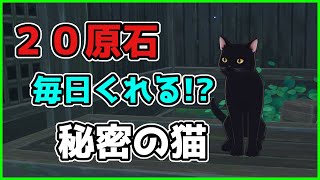 【原神】稲妻2.1で毎日やっておくべき事「２選」【げんしん/攻略解説】