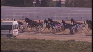 Vidéo de la course PMU PREMI JOAN MARROIG