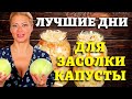 В ФЕВРАЛЕ, марте 2023 - СОЛИМ КАПУСТУ! Лучшие даты по лунному календарю на 2023 год