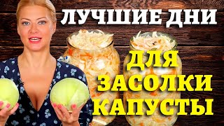 В ФЕВРАЛЕ, марте 2023 - СОЛИМ КАПУСТУ! Лучшие даты по лунному календарю на 2023 год