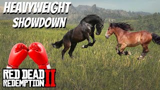 Breton vs Kladruber-Heavy Weight Showdown Red Dead Online