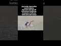 Apapun pekerjaan ayahmu...