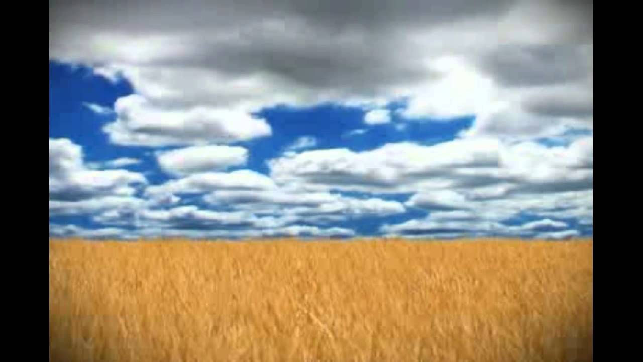 RODANDO CAMINOS - OSKAR MICHELL