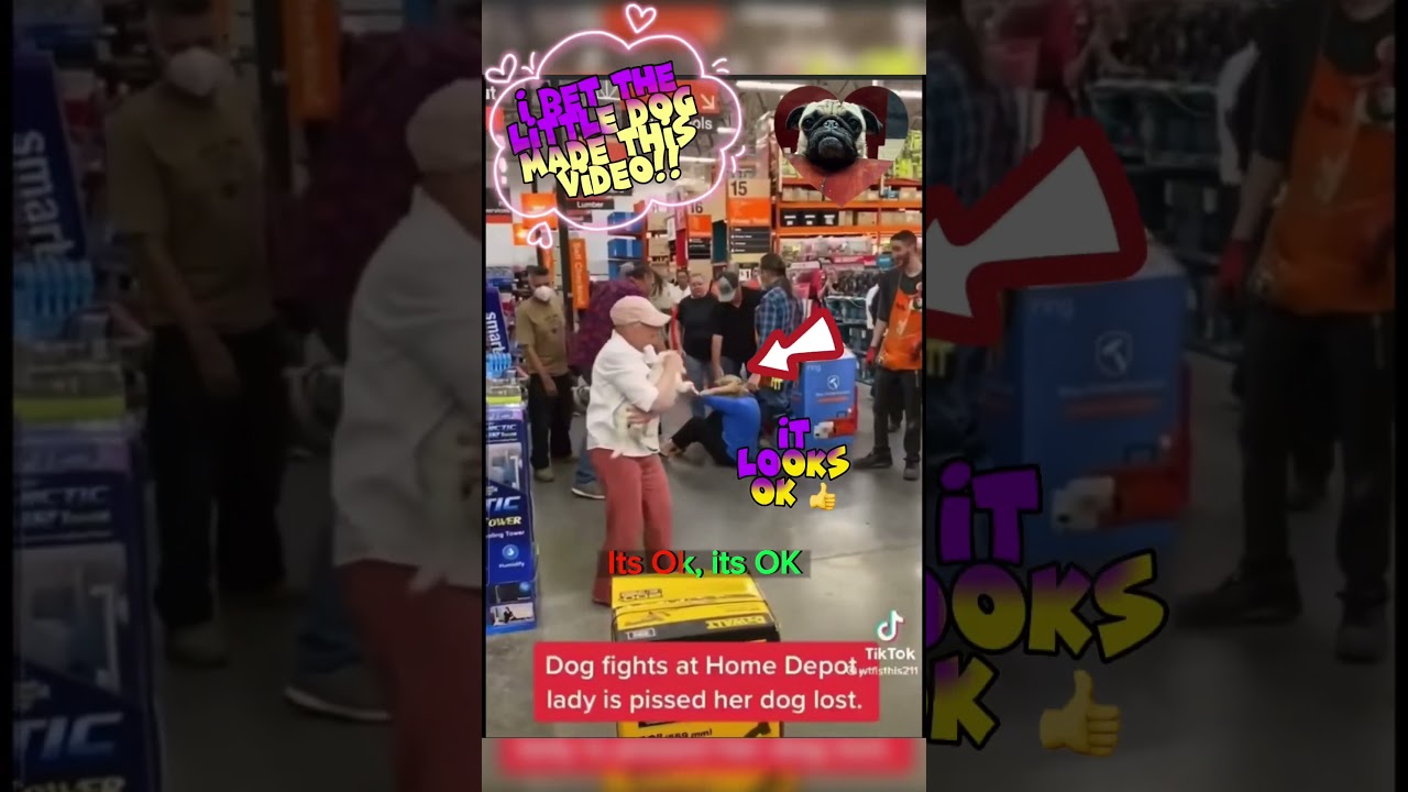 Pt 1.4 Pug reacts😱to Viral TikTok Dog Drama😢at HomeDepot 🤣 (cute)