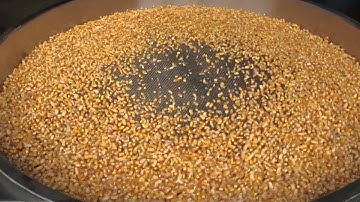 rotary vibrating sieve