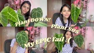 Plant Emergency! an unfortunate accident + EPIC fail on my part 😓