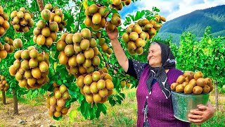 Making Lots of Kiwi Jam in a Remote Village! Rustic Sweetness of Juicy Fruit!