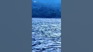 Did You Know There’s a Lake That Can Kill You Silently in Minutes? | Lake Nyos Horror Story