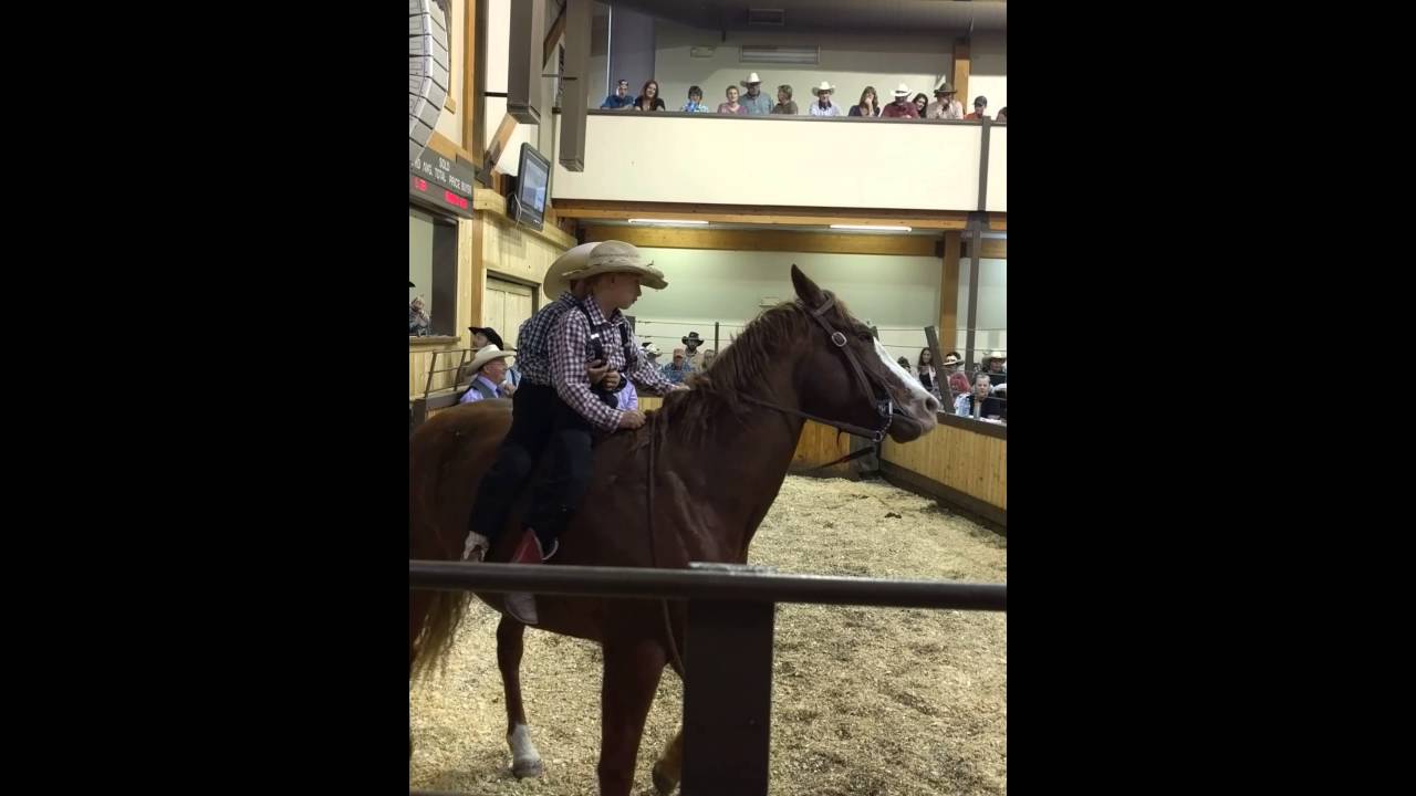 Horse Whisperer YouTube