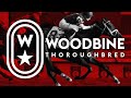 Woodbine tbred april 28 2024 race 2  woodbine horse race replay