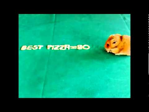 Best Pizza at Mamma Mia, Dubai Marina