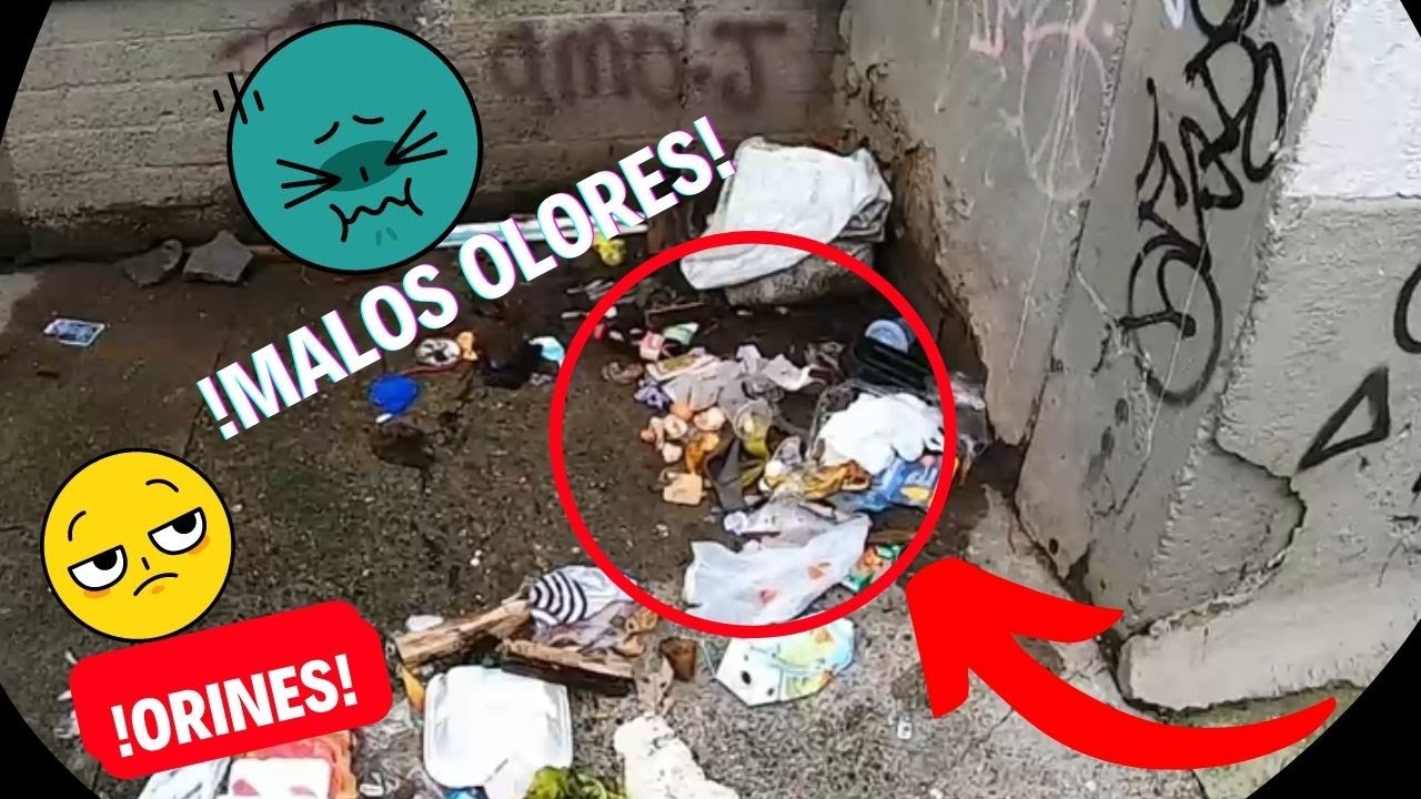 Vías Principales Y CAJAS Estacionarias de Medellin 🚛  #camionesdebasura #medioambiente