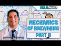 Respiratory | Mechanics of Breathing: Expiration | Part 3