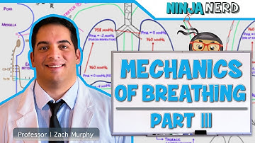 Respiratory | Mechanics of Breathing: Expiration | Part 3