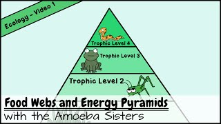 Pyramid Energy – PyramidEnergy