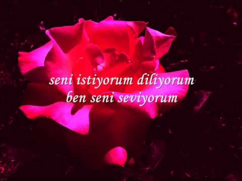 Orhan Ölmez - Seni Seviyorum (lyrics)