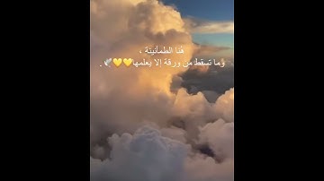 وان ربك ليعلم ما تكن صدورهم وما يعلنون تلاوة القارئ اسلام صبحي