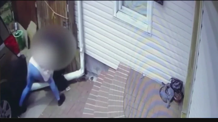 CAUGHT ON CAMERA: Teen escapes attempted abduction in New York