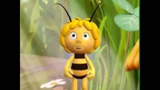 Abelhinha Abelhinha Abelhinha Abelhinha