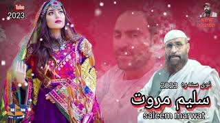 saleem marwat new song 2023 / سليم مروت نوی سندره