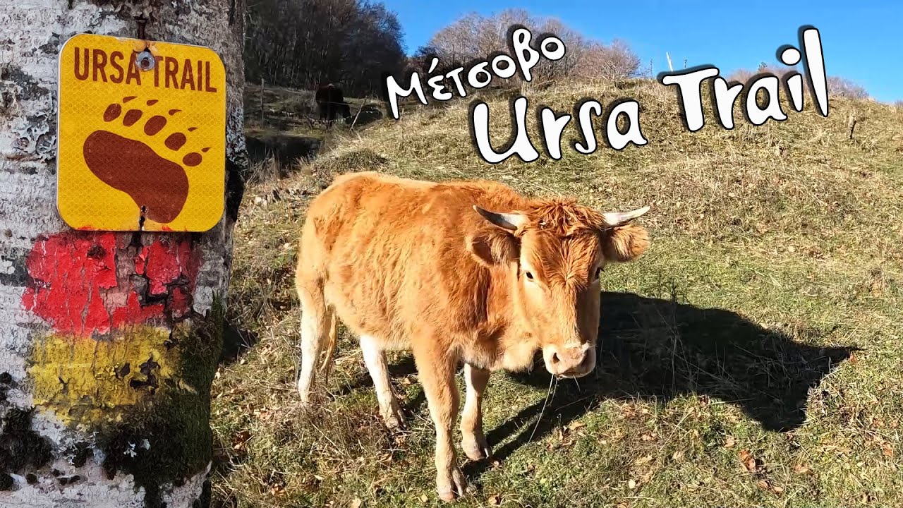 Ursa Trail | Μέτσοβο #metsovo #hiking #discovergreece