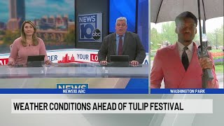 Weather conditions ahead of Tulip Festival in Albany