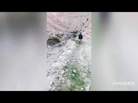 Pindi Boys پنڈی لونڈے Dubai