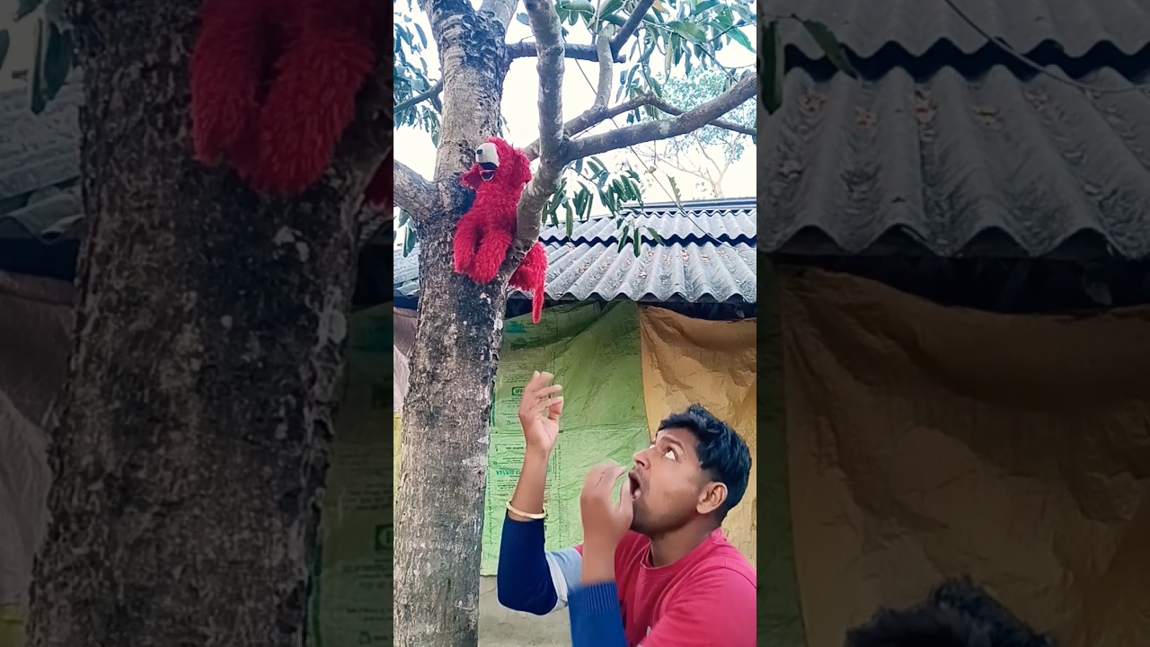 Most Unexpected Monkey Reaction Scene 😂🔥