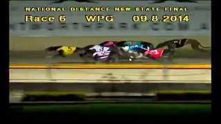 WENTWORTH PARK-09082014-RACE-6