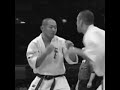 Kyokushin karate hiza geri knockout #kyokushinway #shorts