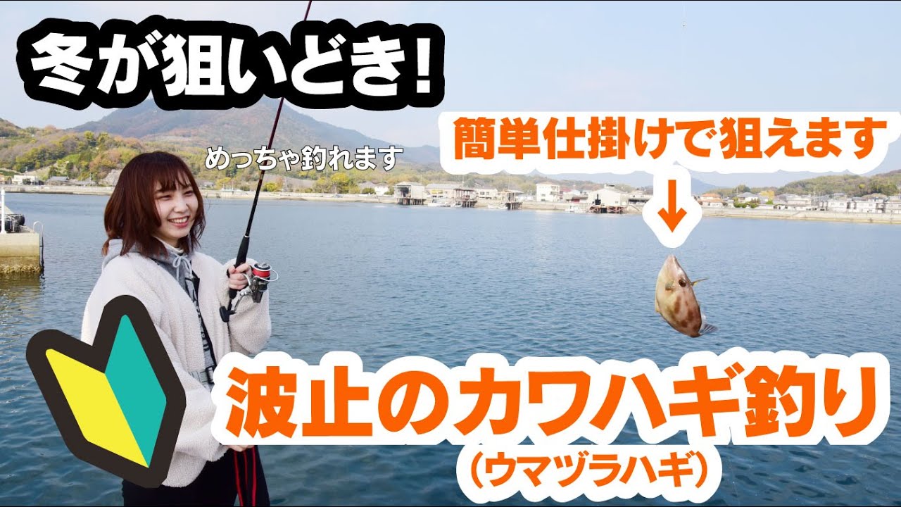 みんなの釣り入門 波止のカワハギ ウマヅラハギ釣り 釣果アップのコツは 小さいアタリを掛ける Youtube