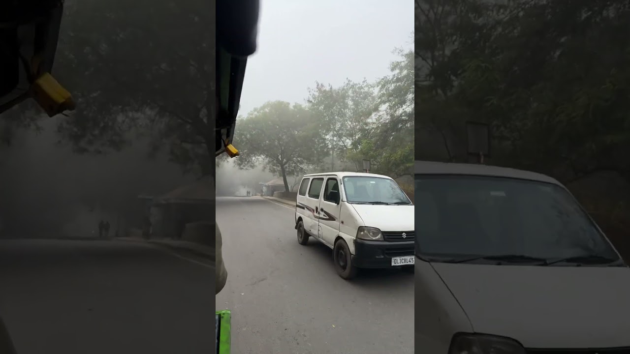 JNU - on the way to library. Winter morning 🌸🌸  