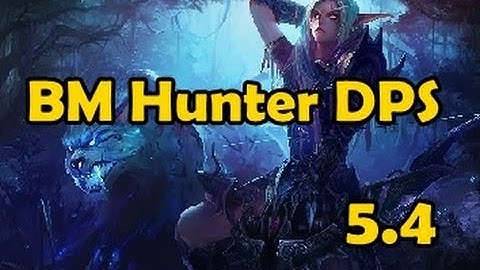 A Super Quick Guide to BM Hunter DPS 5.4