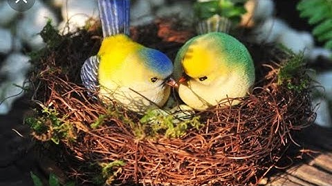 گھر اور گھونسلہ Ghar Aur Ghonsla घर और घोंसला Class 2nd Ibtadai Urdu CBSE# Board NCERT#